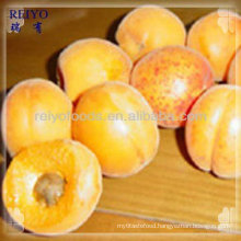 New season IQF Apricot Frozen Yellow Apricot